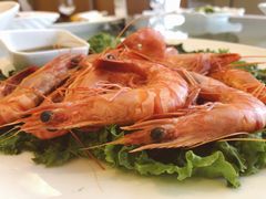 白灼大草虾-骏莱海鲜鱼港(五角场店)