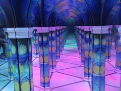 -天津梵高星空艺术馆(天河城旗舰店)