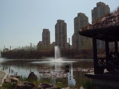 -前关湿地公园