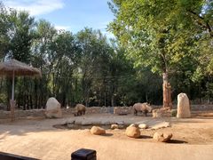 -北京野生动物园