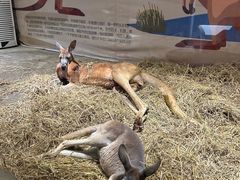 -荆州中山公园动物园