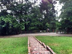 -武吉知马自然保护区