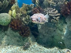-福州罗源湾海洋世界旅游区