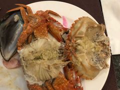 -圆顶阁西餐厅(郑州索菲特国际饭店 )