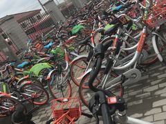 路边-上海仁爱医院
