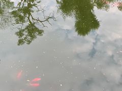 -迎泽公园