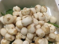 阳江珍珠马蹄-烹然四季椰子鸡火锅(团结湖总店)