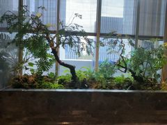 -海立阁海鲜江浙菜(漕河泾印象城店)