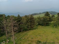 -老秃顶草原景区