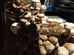 -丙申臺火锅