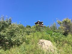 -北京鹫峰国家森林公园
