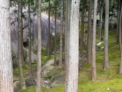 -玉苍山国家森林公园