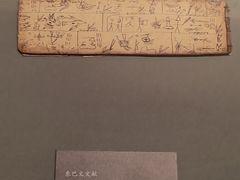 -四川大学博物馆