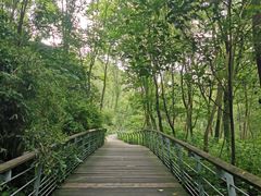 -西湖风景区-江洋畈生态公园