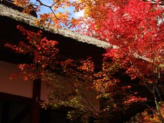 -常寂光寺