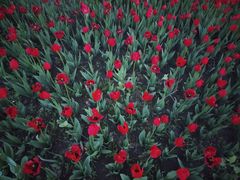 -长春公园(普阳街道)