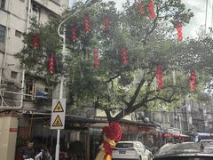 -溪岸路花鸟市场