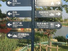 -荷兰花海