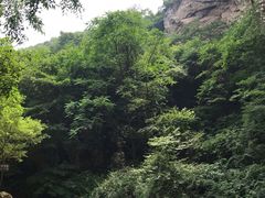 -少华山国家森林公园