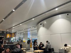 -麦当劳(北京大兴机场二层国内到达(安检外)店)