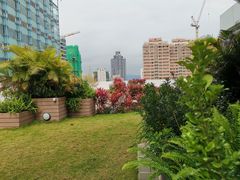 -香港大学