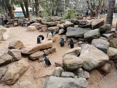 -费瑟代尔野生动物园