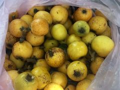 -塘栖枇杷特色园区