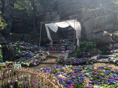 -梭布垭石林景区