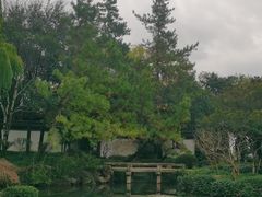 -秋霞圃