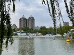 -团结湖公园