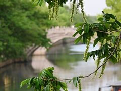 -西园寺