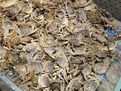 -半岛听涛蒸汽海鲜自助(K11店)