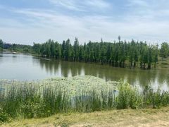 -白鹭湾湿地公园