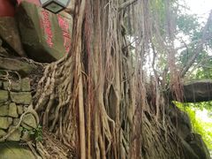 -乌山风景区