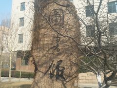 -青岛市图书馆