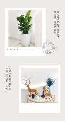 点击看大图 -臣丽纹眉全国连锁
