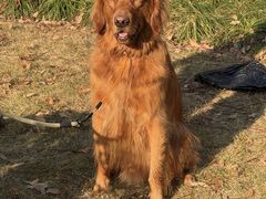 -杭州城北体育公园