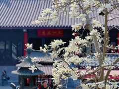-灵谷景区