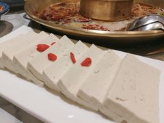 -杨家火锅(国美店)