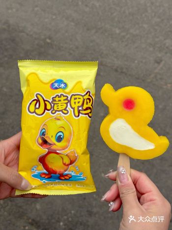 啊啊啊不是刺客！要被小黄鸭可爱拥了！