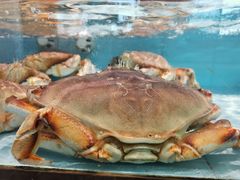 水产区-尚海豆捞(乐虹坊店)