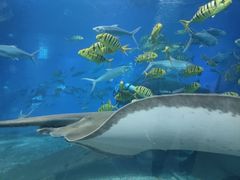 -福州罗源湾海洋世界旅游区