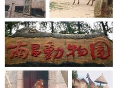 -南昌动物园