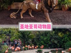 -圣地亚哥动物园