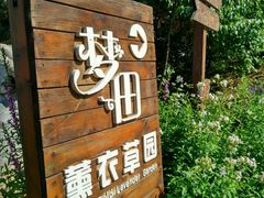 android_upload_pic-云峰山自然风景区