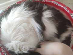 -平行世界·猫咖(首经贸店)