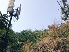 -雨花胜境