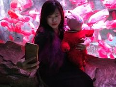 -泉城欧乐堡海洋极地世界