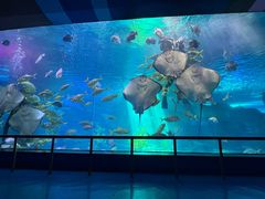 -泉城欧乐堡海洋极地世界