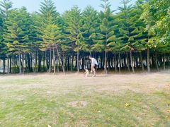 -五通灯塔公园